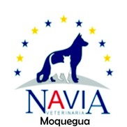 moquegua1.jpg